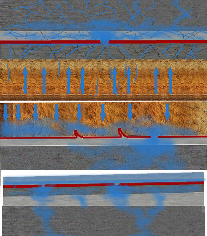 首页-人生就是博中国官方网站