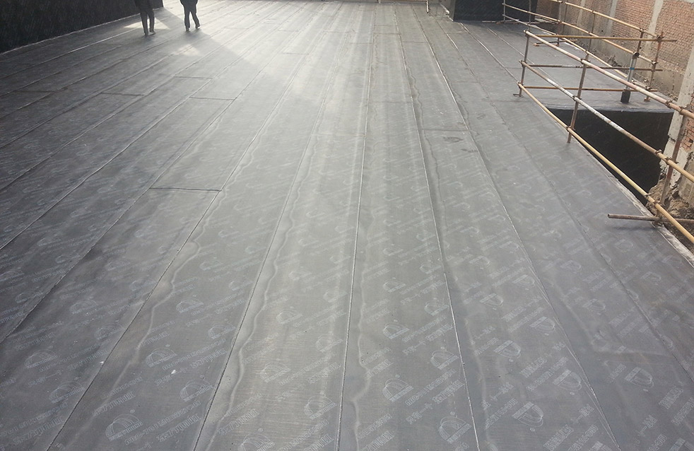 首页-人生就是博中国官方网站