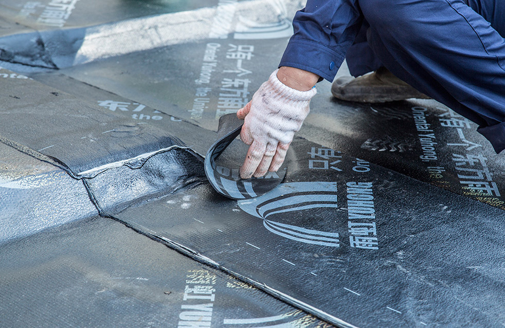 首页-人生就是博中国官方网站