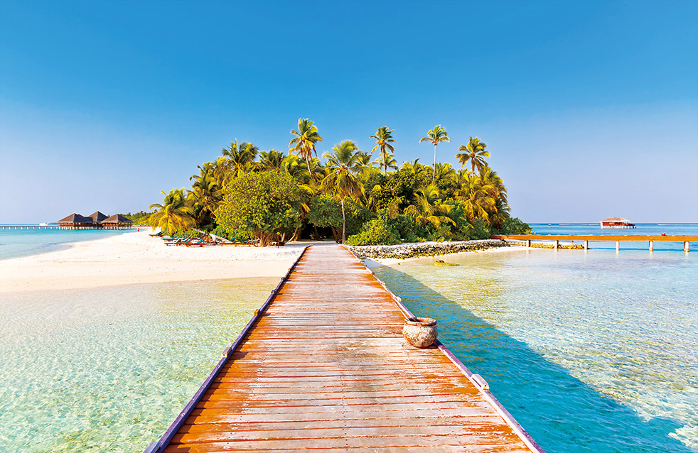 首页-人生就是博中国官方网站