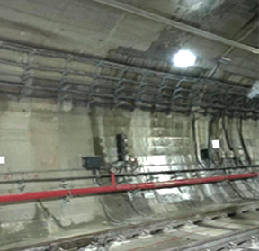 首页-人生就是博中国官方网站