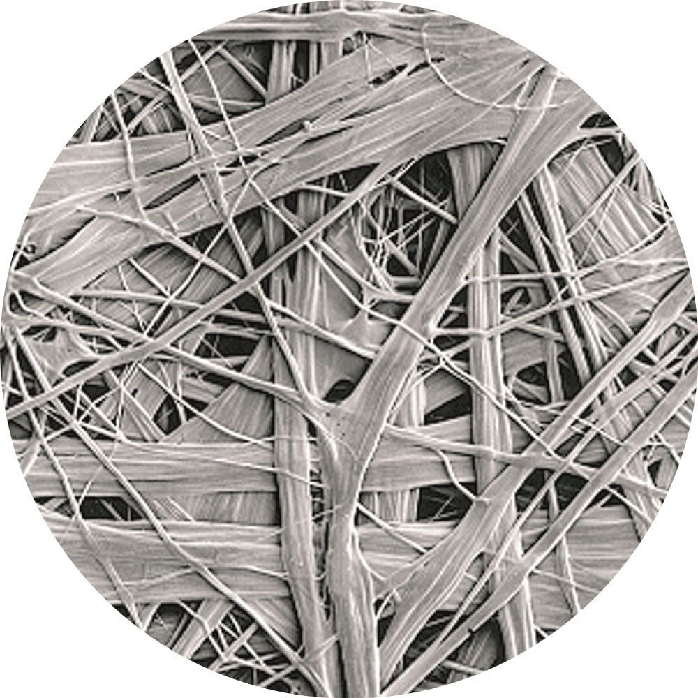 首页-人生就是博中国官方网站