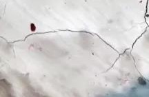 首页-人生就是博中国官方网站