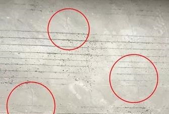 首页-人生就是博中国官方网站