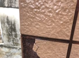 首页-人生就是博中国官方网站