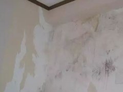 首页-人生就是博中国官方网站