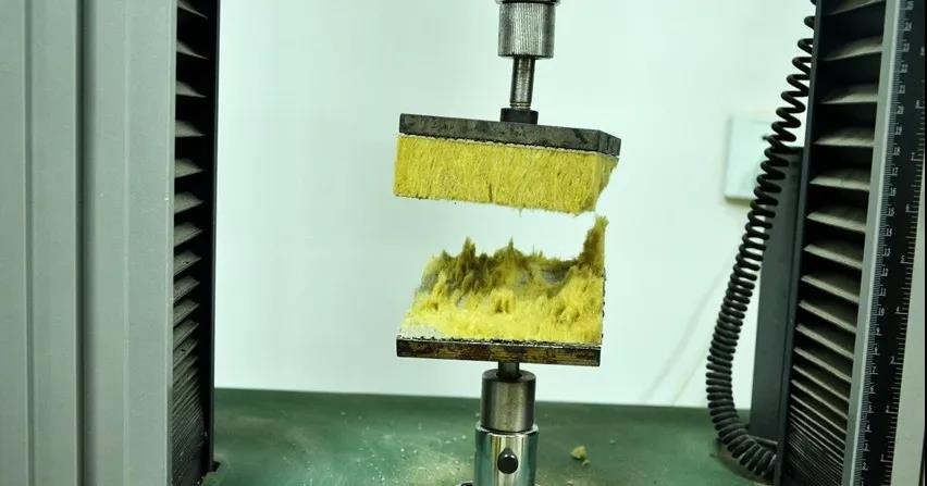 首页-人生就是博中国官方网站