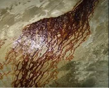 首页-人生就是博中国官方网站