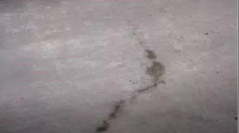 首页-人生就是博中国官方网站