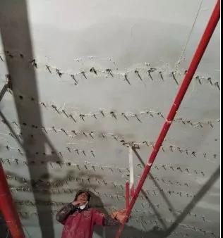 首页-人生就是博中国官方网站