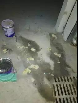 首页-人生就是博中国官方网站