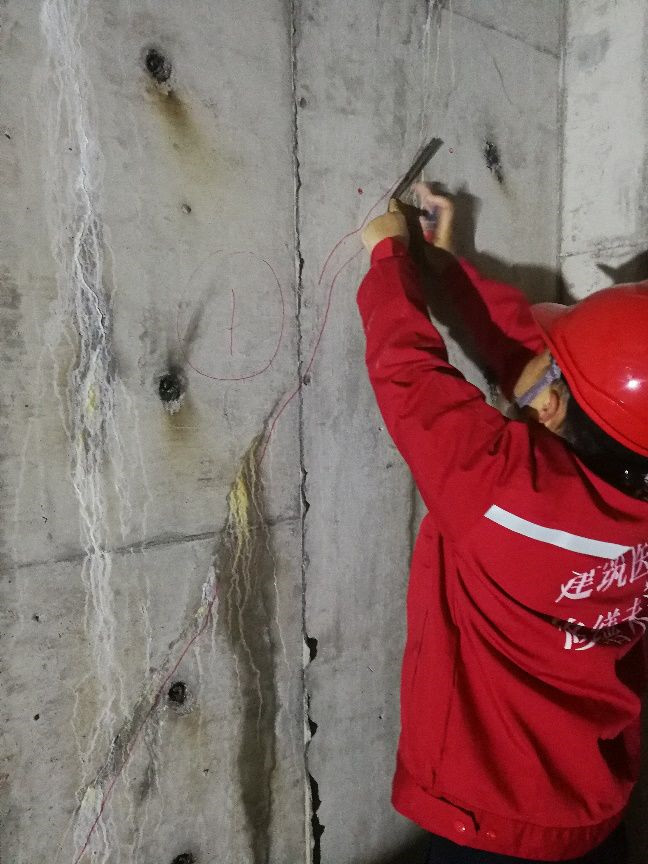 首页-人生就是博中国官方网站