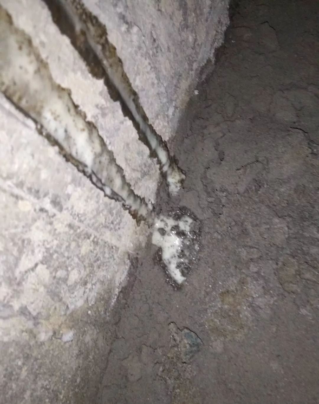 首页-人生就是博中国官方网站