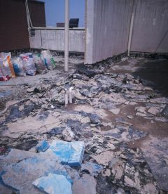 首页-人生就是博中国官方网站