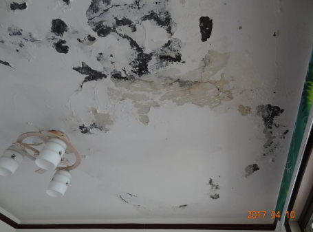 首页-人生就是博中国官方网站