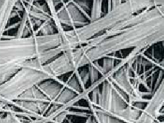 首页-人生就是博中国官方网站