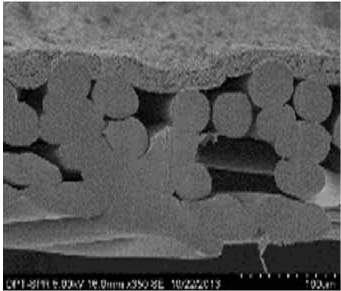 首页-人生就是博中国官方网站