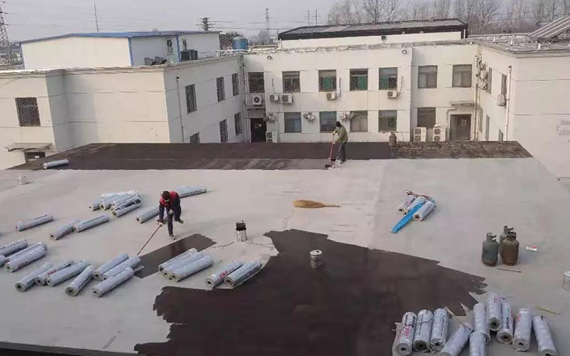 首页-人生就是博中国官方网站