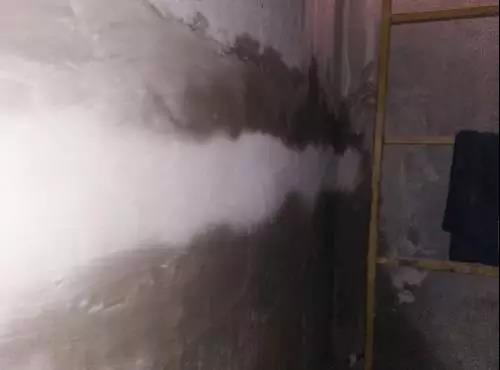 首页-人生就是博中国官方网站