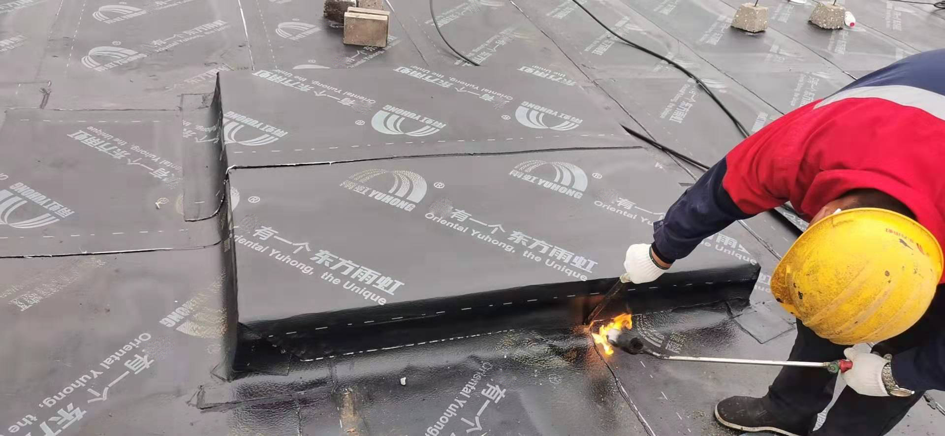 首页-人生就是博中国官方网站