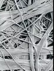 首页-人生就是博中国官方网站