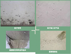 首页-人生就是博中国官方网站