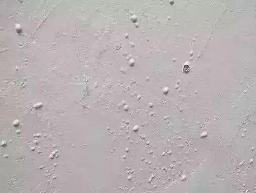 首页-人生就是博中国官方网站