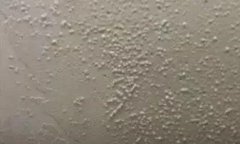 首页-人生就是博中国官方网站