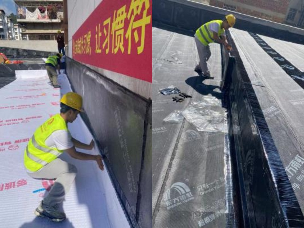 首页-人生就是博中国官方网站